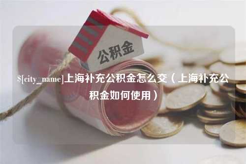 仙桃上海补充公积金怎么交（上海补充公积金如何使用）